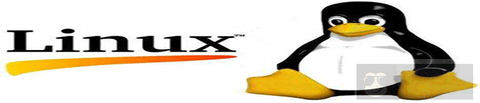 并发服务器:Redis 案例研究分析 并发服务器:Redis 案例研究分析