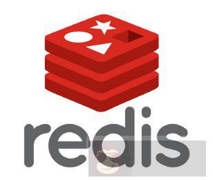 解决 Redis 保存后无法写入问题