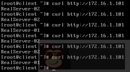 Linux 之虚拟服务器 LVS 搭建 Linux 之虚拟服务器 LVS 搭建