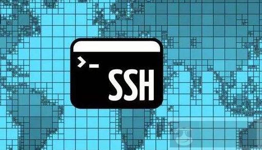 SSH 密码验证绕过