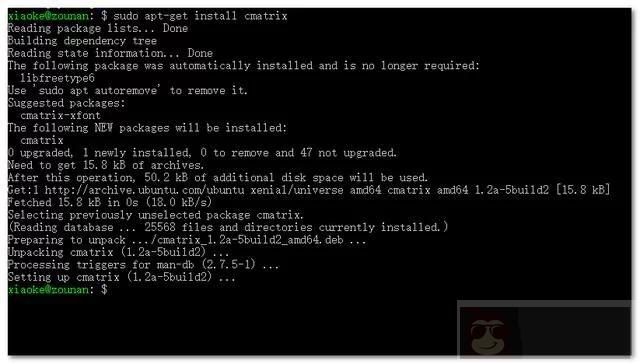 教大家如何用利用 Win10 应用商店安装 Linux 子系统，实现黑客帝国效果
