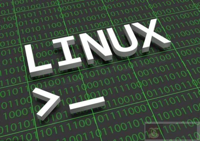 教大家如何用利用 Win10 应用商店安装 Linux 子系统，实现黑客帝国效果