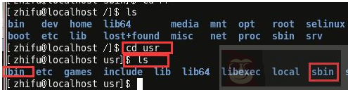 聊聊：linux 的那些常见目录