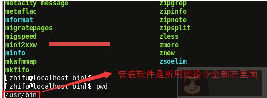 聊聊：linux 的那些常见目录