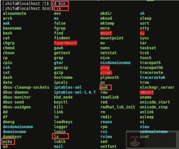 聊聊：linux 的那些常见目录